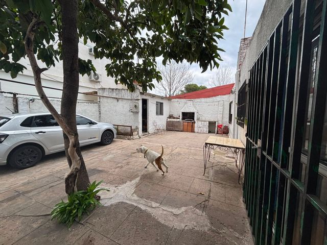 place photo 36