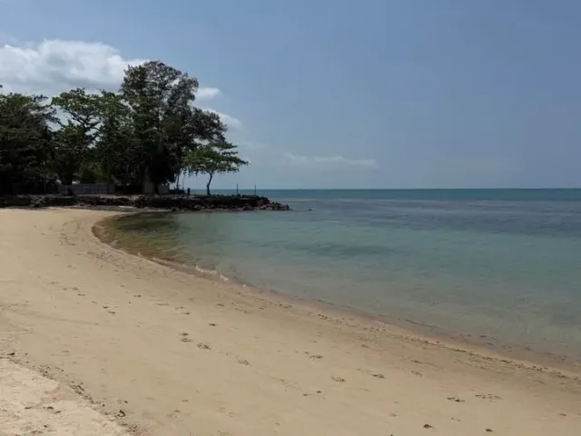 place photo 16