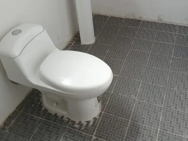 place photo 12