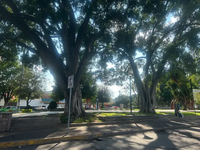 place photo 22