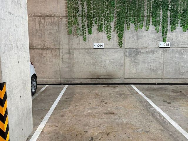 place photo 19
