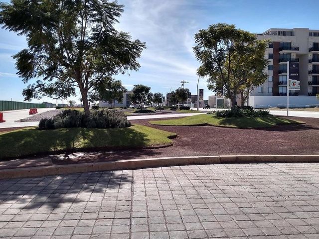 place photo 22
