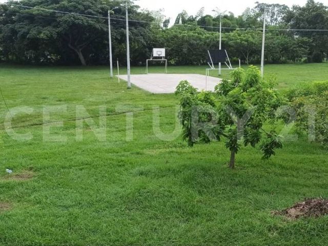 place photo 17