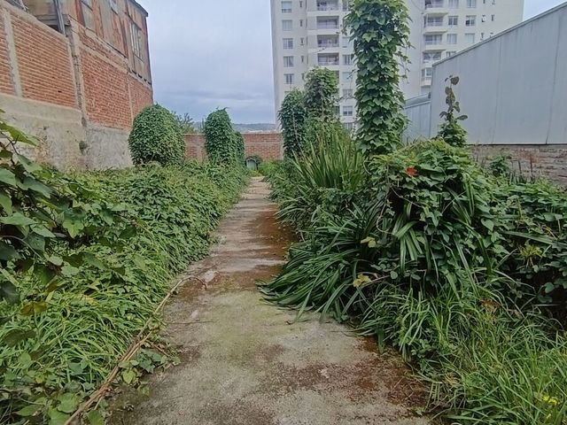 place photo 18