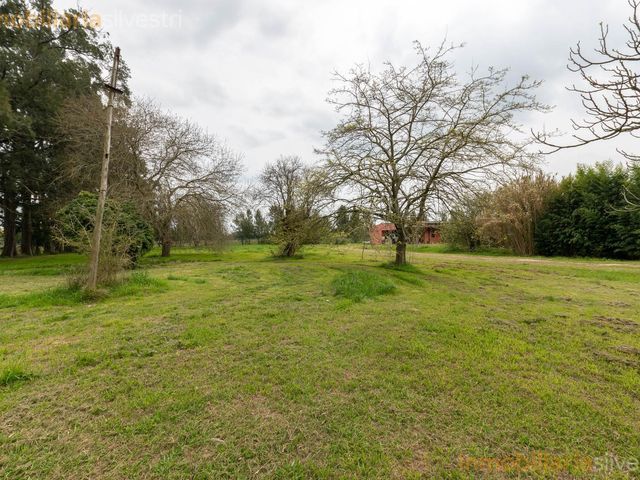 place photo 80