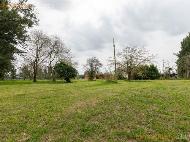 place photo 82