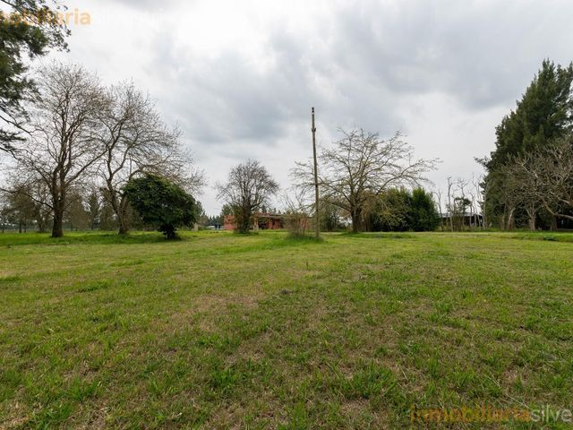 place photo 83