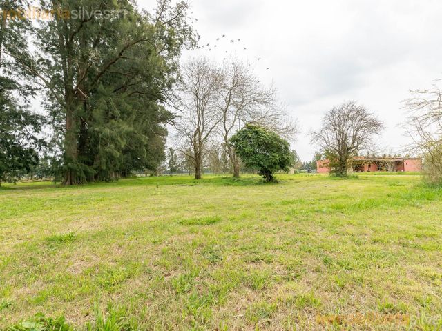 place photo 85