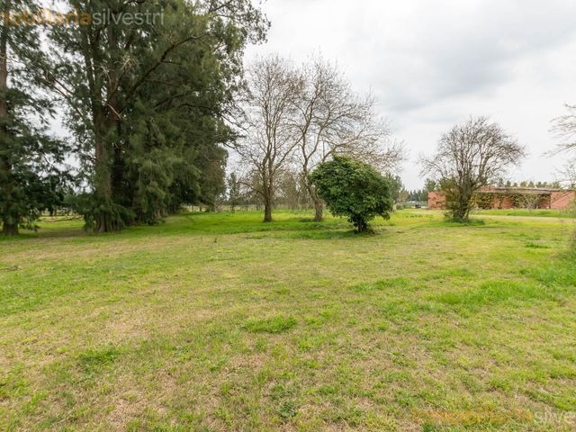 place photo 84