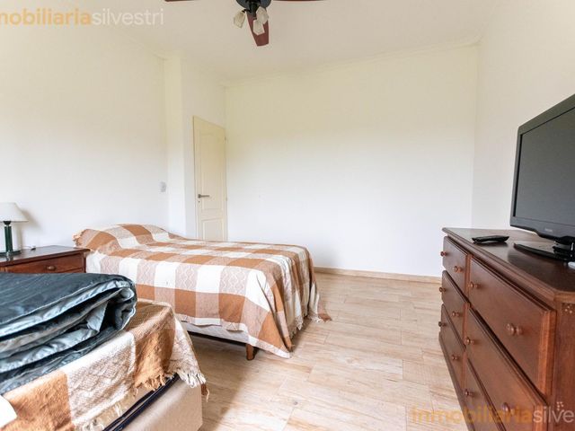 place photo 64