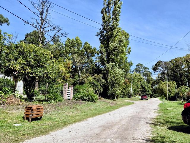 place photo 31