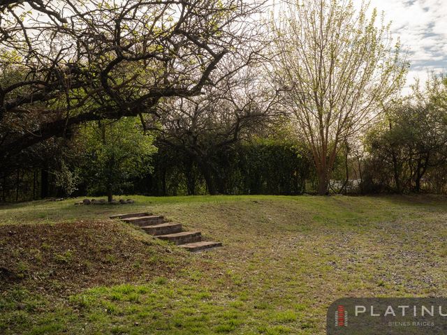 place photo 39