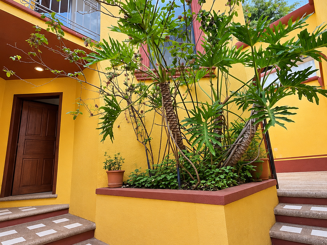place photo 27