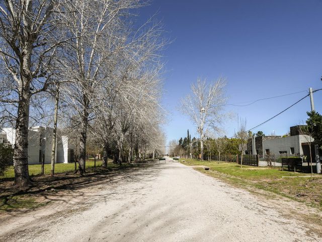 place photo 37