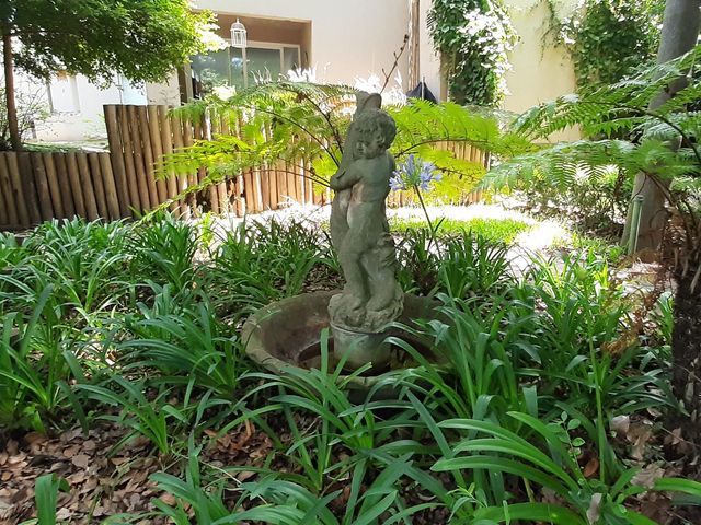 place photo 38