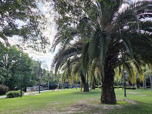place photo 41