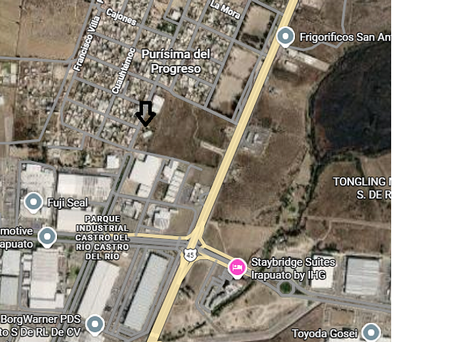 place photo 7