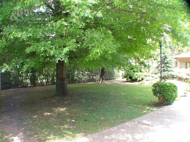 place photo 39