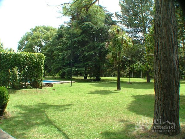 place photo 36