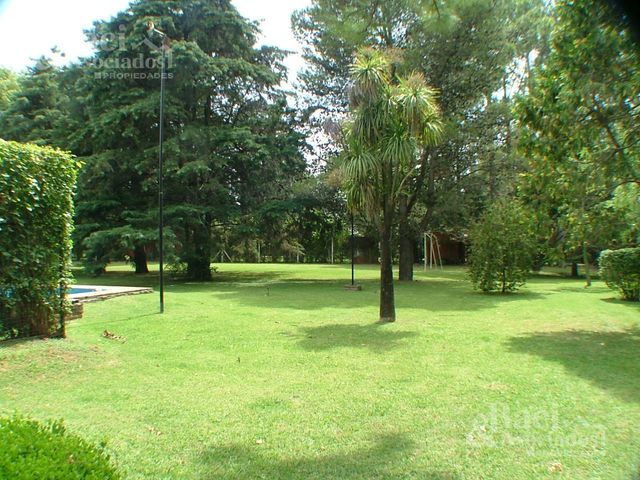 place photo 41