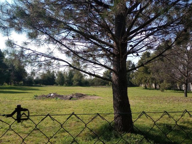 place photo 22