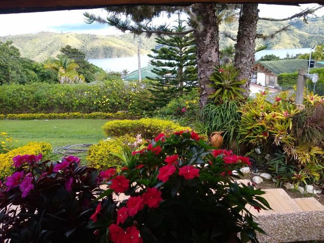 place photo 6