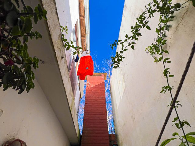 place photo 36