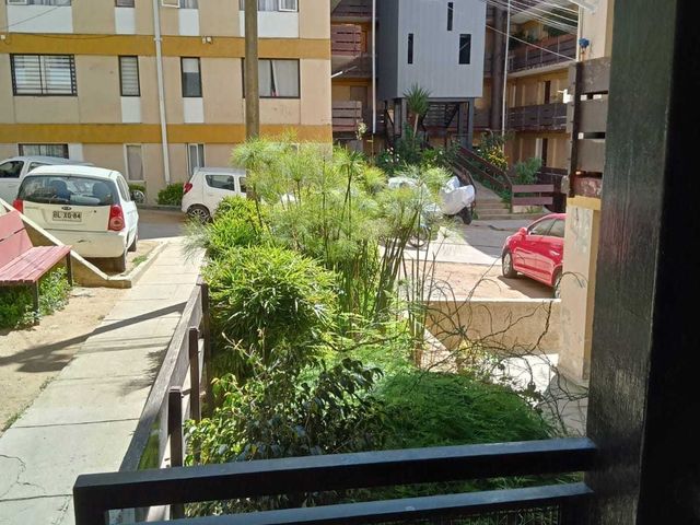 place photo 22