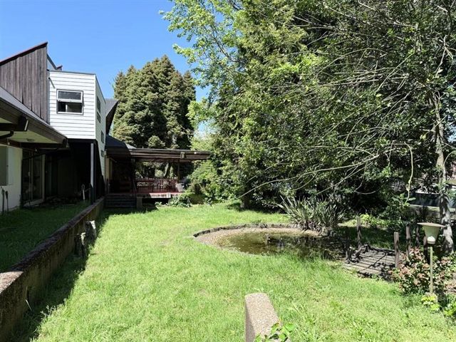 place photo 20