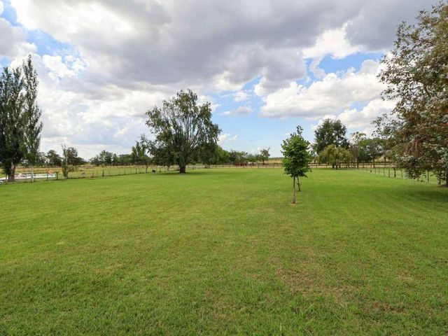 place photo 38