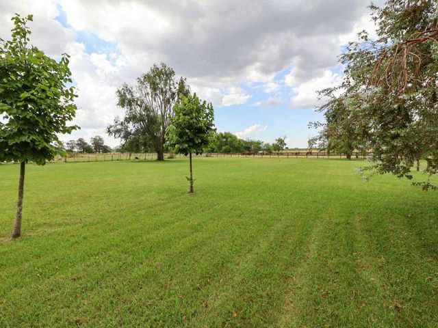 place photo 39