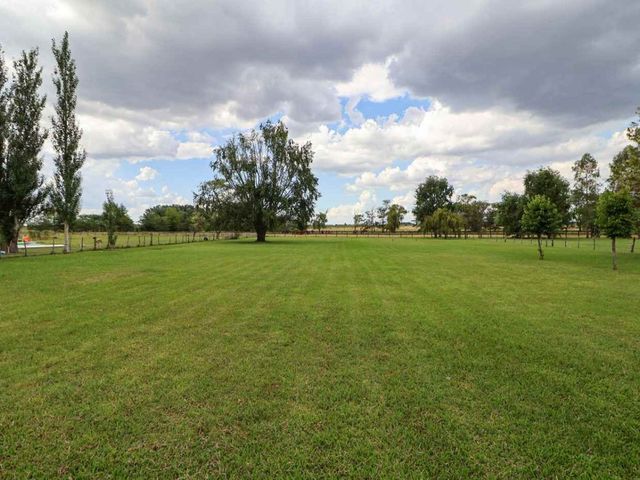 place photo 37