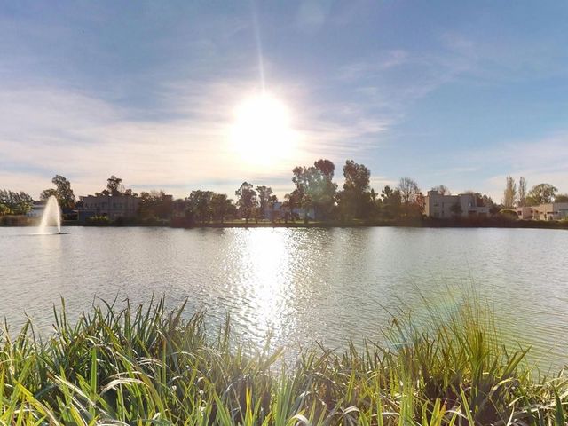 place photo 61