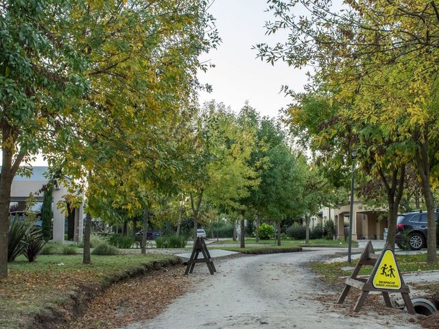 place photo 45