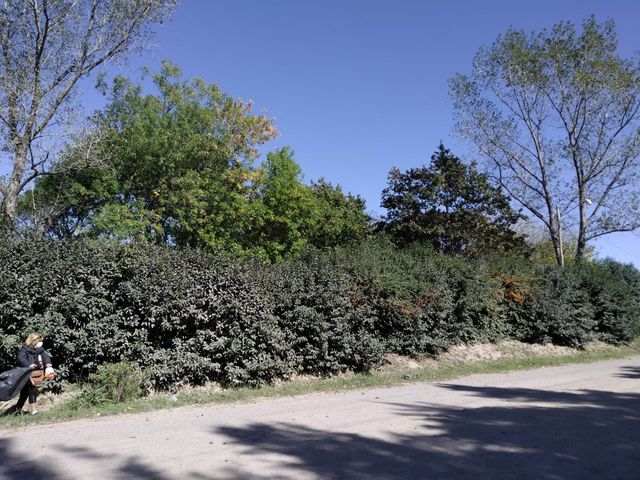 place photo 36