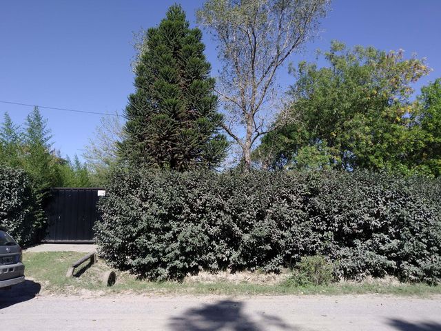 place photo 37
