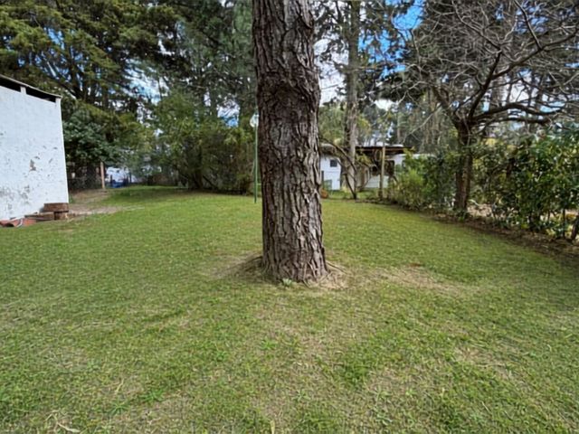 place photo 30