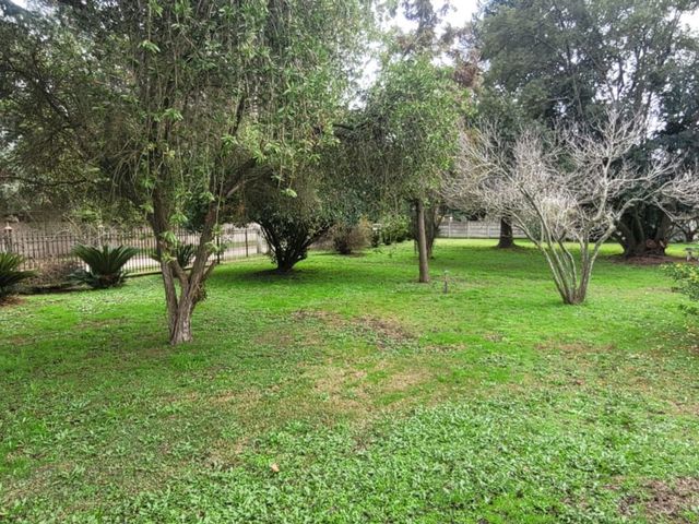 place photo 30