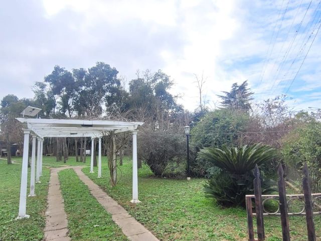 place photo 36