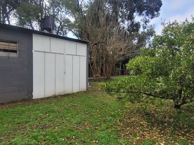 place photo 25