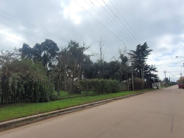 place photo 37