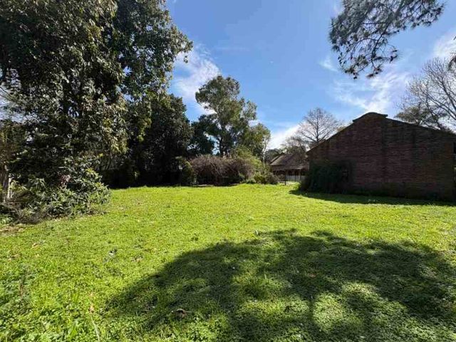 place photo 29