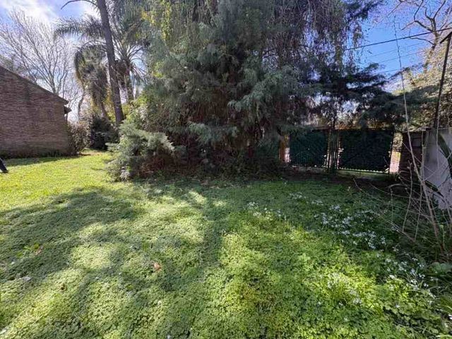 place photo 30