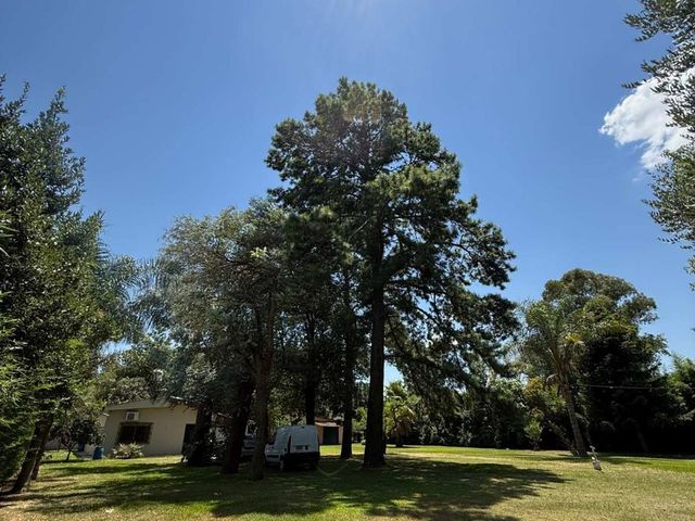place photo 31