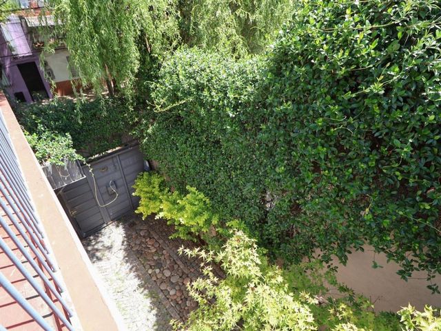 place photo 40