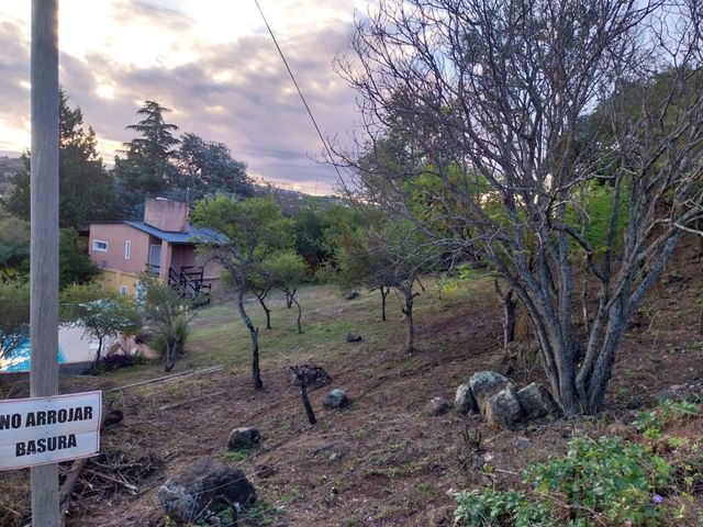 place photo 24
