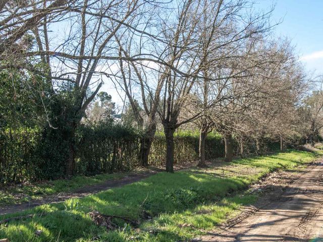 place photo 37