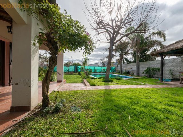 place photo 46