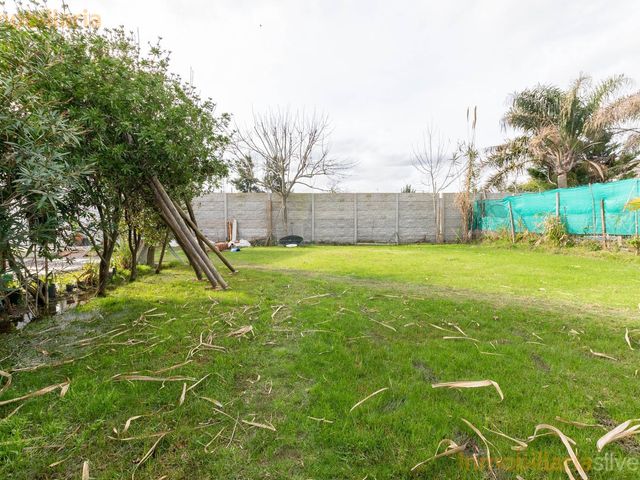 place photo 62