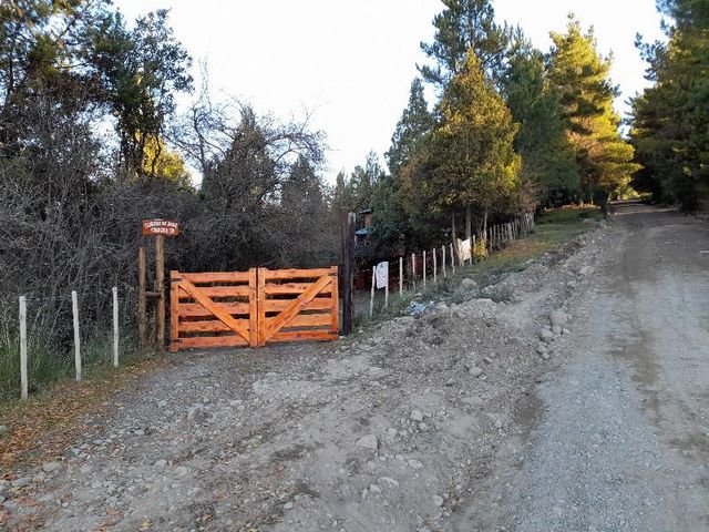 place photo 24